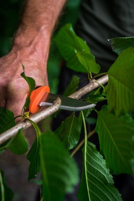 Cuchillo Universal L con Funda